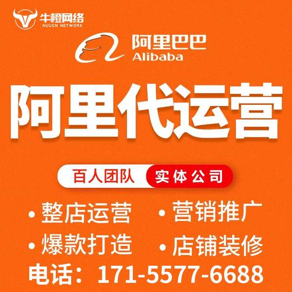 丹阳电商代运营