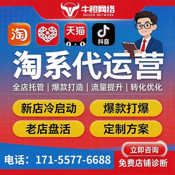 丹阳电商代运营