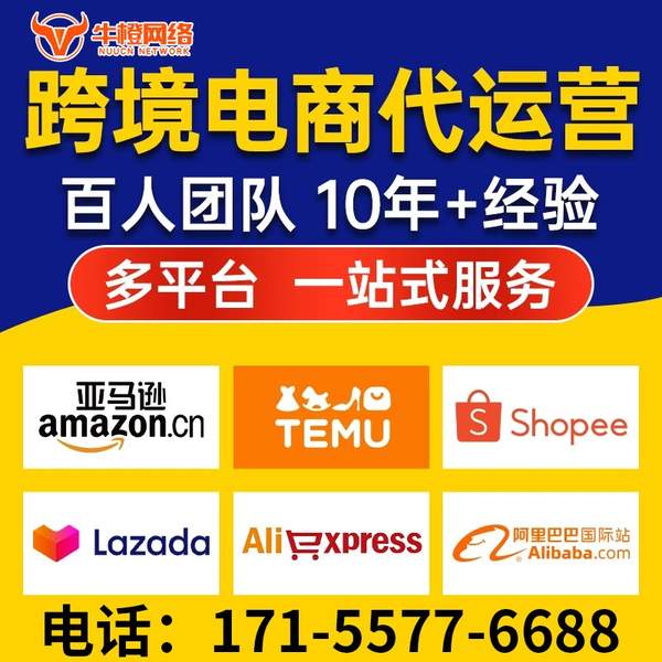 丹阳电商代运营