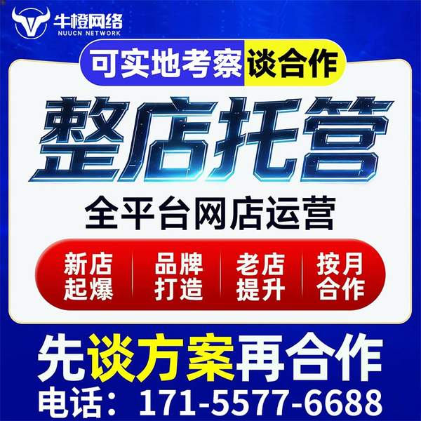 丹阳电商代运营