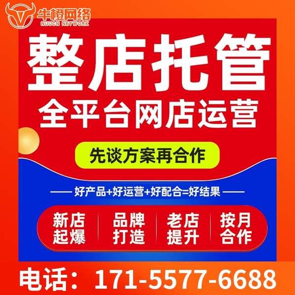 丹阳电商代运营