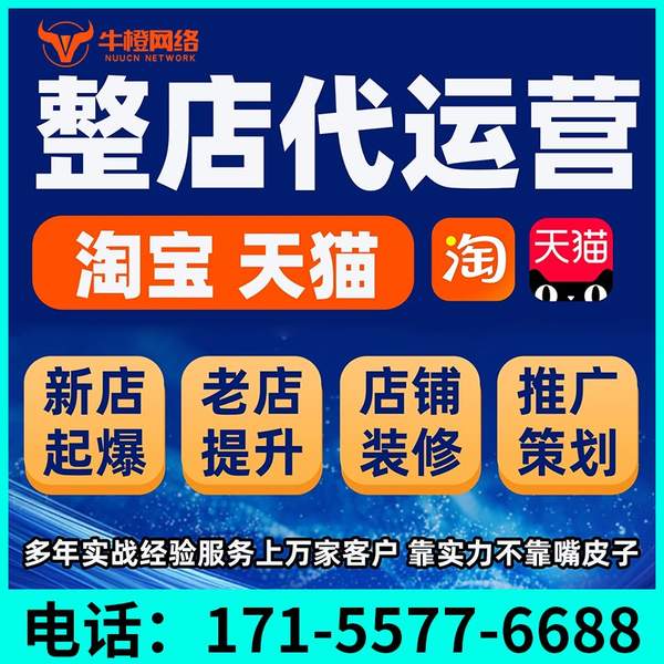 丹阳电商代运营