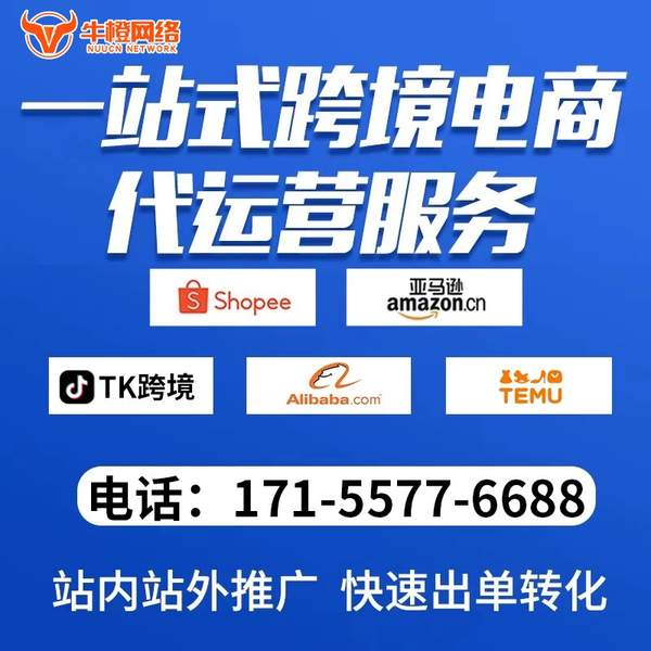 丹阳电商代运营