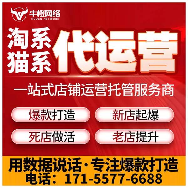 丹阳电商代运营